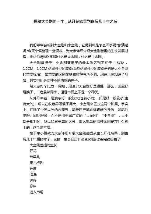 探秘大金刚的一生，从开花结果到盘玩几十年之后