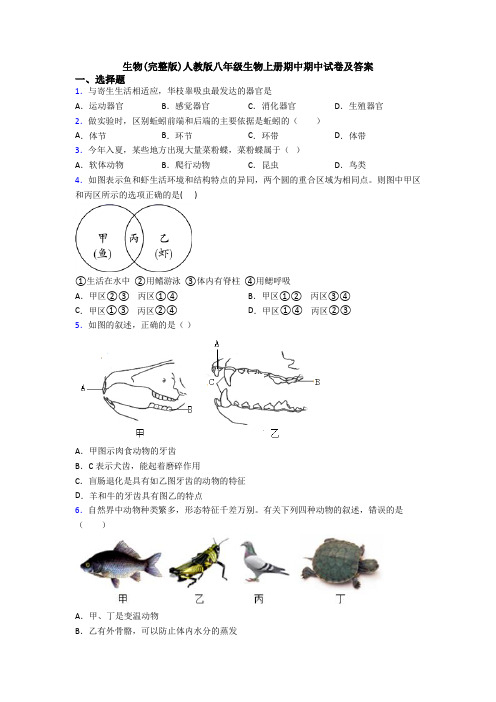 生物(完整版)人教版八年级生物上册期中期中试卷及答案