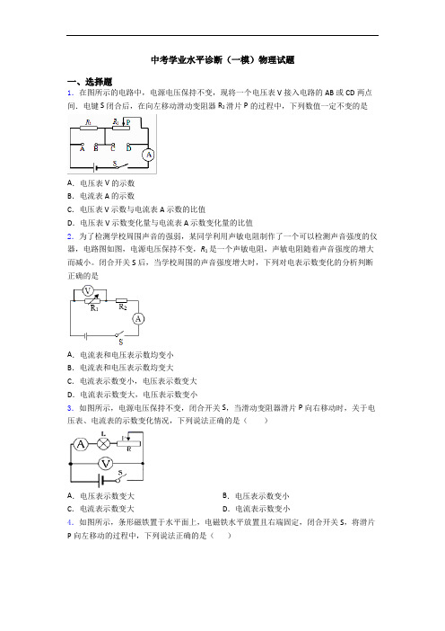 中考学业水平诊断(一模)物理试题