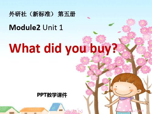 M2Unit 1 What did you buy精品课件