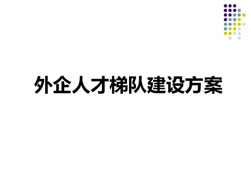 公司人才培养方案PPT课件