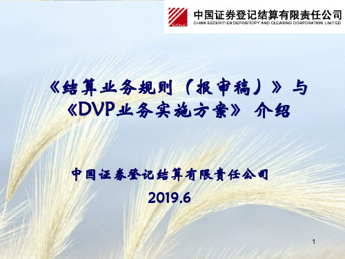 结算业务规则报审稿与DVP业务实施方案介绍-精选