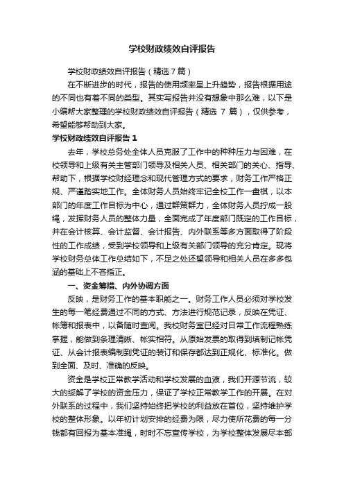 学校财政绩效自评报告