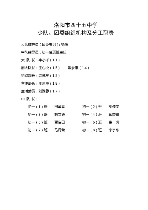 45中学少队组织机构