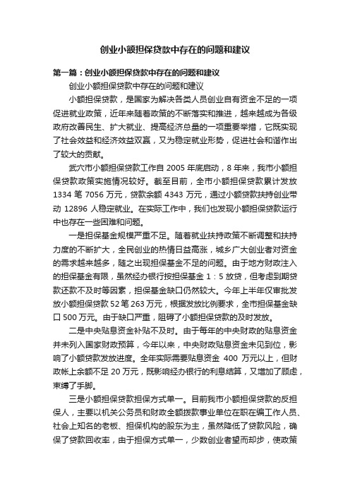 创业小额担保贷款中存在的问题和建议