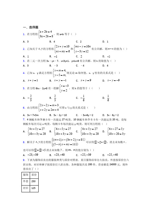 (常考题)人教版初中数学七年级数学下册第四单元《二元一次方程组》检测卷(有答案解析)(4)