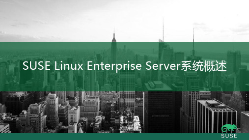 SUSE Linux Enterprise Server系统概述