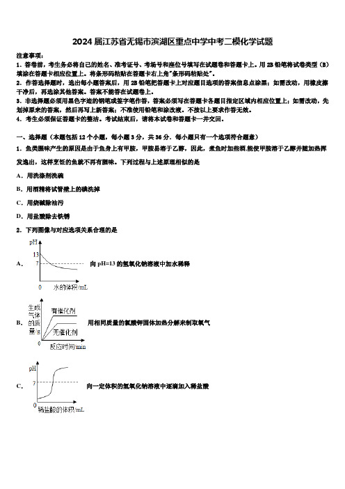 2024届江苏省无锡市滨湖区重点中学中考二模化学试题含解析