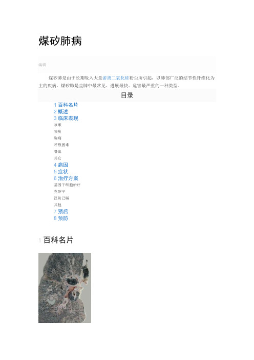 煤矽肺病