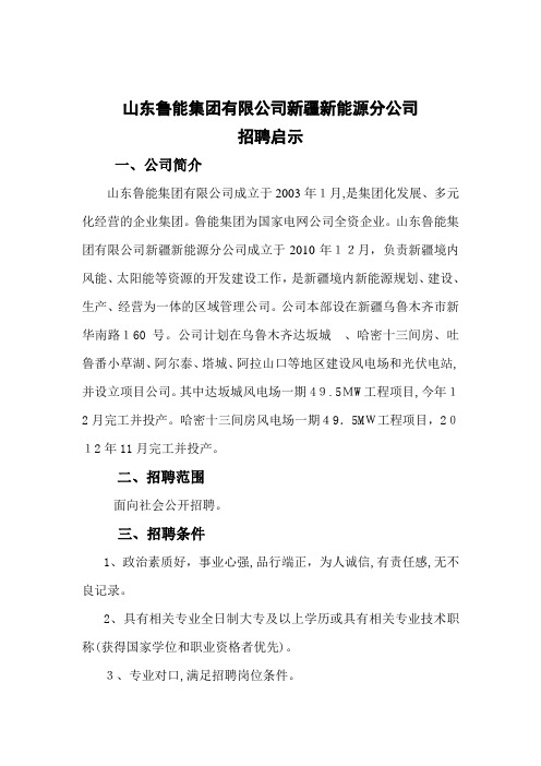 高效山东鲁能集团有限公司新疆新能源分公司