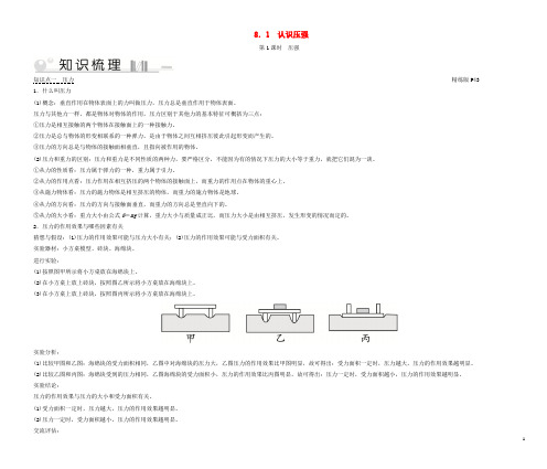 八年级物理下册8.1认识压强第1课时压强考点手册(新版)粤教沪版