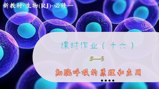 高中生物学必修1课时作业(十六)