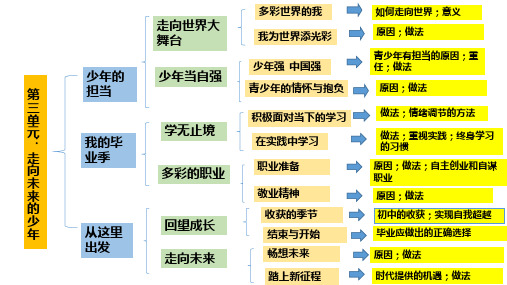 第三单元  走向未来的少年(思维导图)九年级下册道德与法治单元知识提纲及思维导图