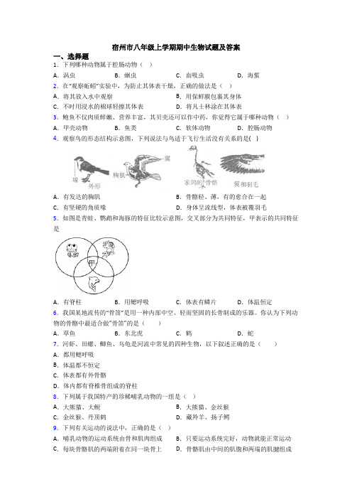 宿州市八年级上学期期中生物试题及答案