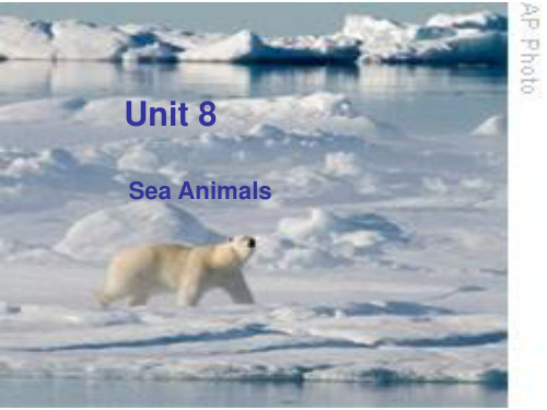 海事基础英语综合教程第一册Unit8 Sea Animals