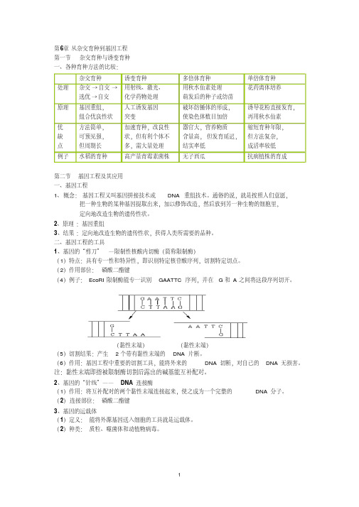 高中生物必修二第六章