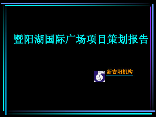 江苏张家港暨阳湖国际广场项目策划报告_221PPT