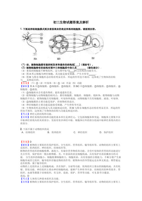 初三生物试题大全
