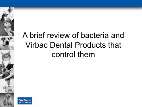 抗生素概论(英文PPT) A brief review of antibiotics