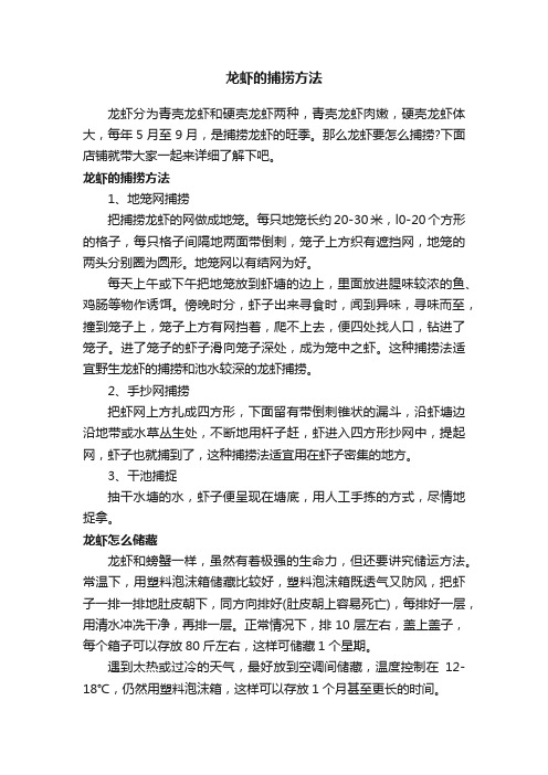 龙虾的捕捞方法