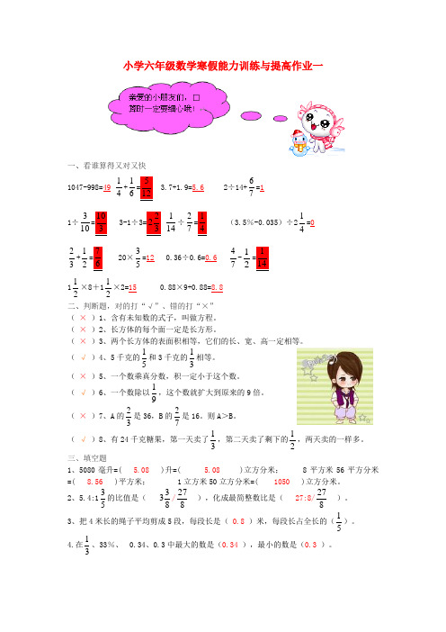 六年级数学寒假能力训练与提高15-1 苏教版