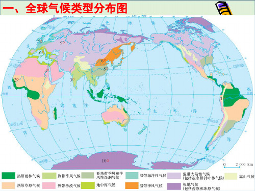 世界气候类型特点成因及分布分析