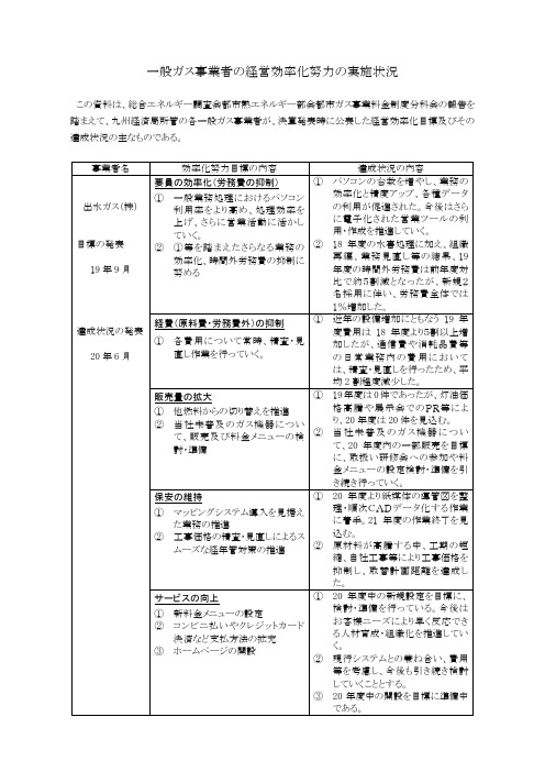 一般ガス事业者の経営効率化努力の実施状沦