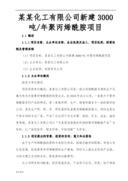 某某化工有限公司新建3000吨年聚丙烯酰胺项目160;可行性实施报告