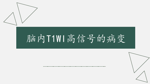 脑内T1WI高信号病变与信号解析影像