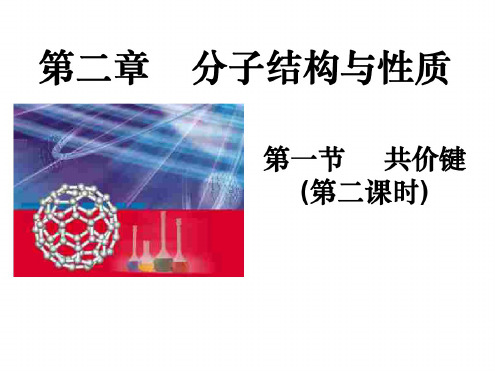 高二化学上学期共价键2