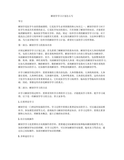 解剖学学习计划怎么写