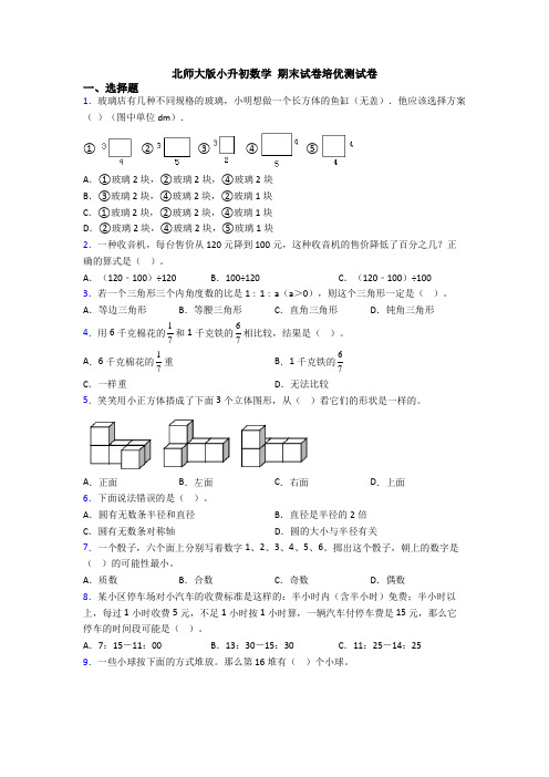 北师大版小升初数学 期末试卷培优测试卷 (3)