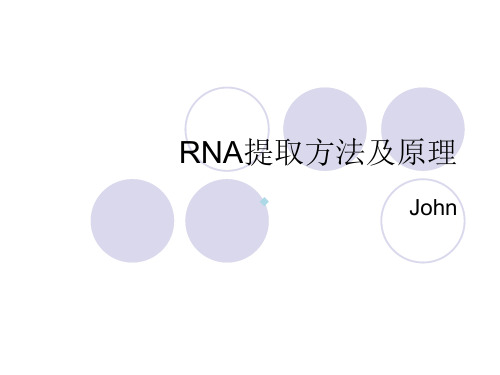 RNA提取方法及原理