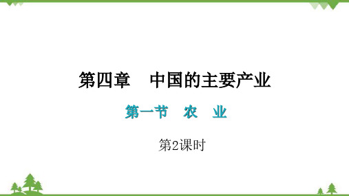 湘教版地理八年级上册 第四章第一节  农业  第2课时   习题课件(共35张PPT)