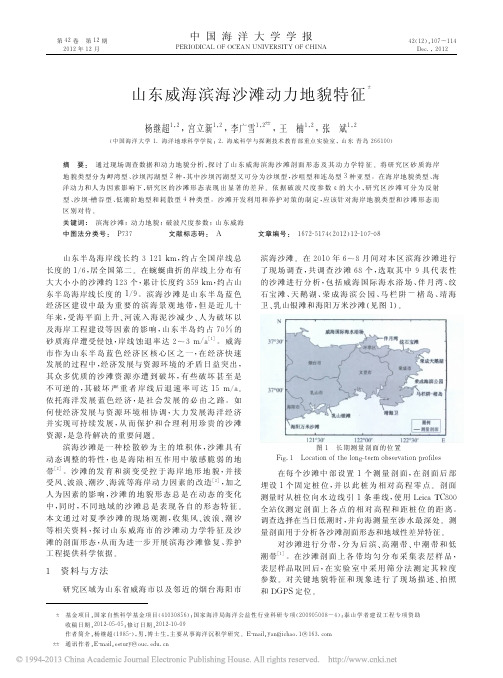 山东威海滨海沙滩动力地貌特征_杨继超