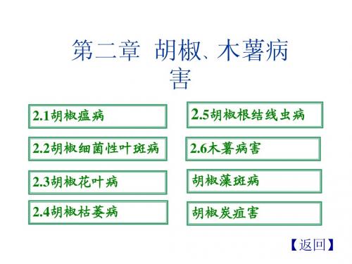 胡椒病害三亚市植保站 李碧平