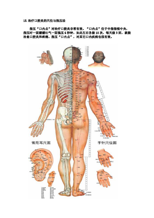 人体穴位图解大全(2)