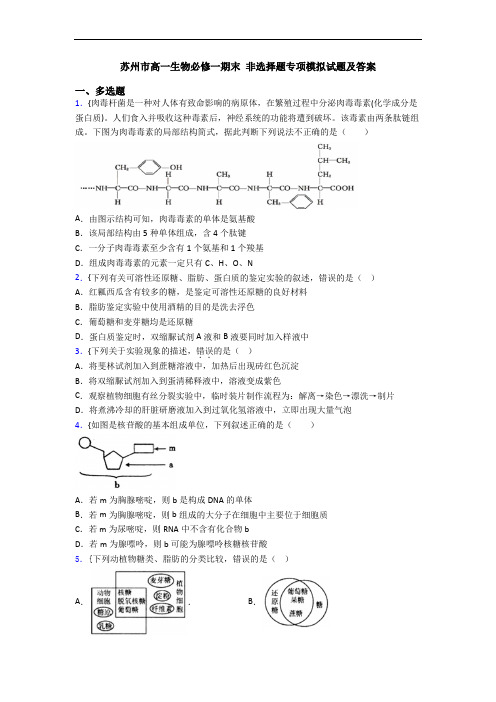 苏州市高一生物必修一期末 非选择题专项模拟试题及答案