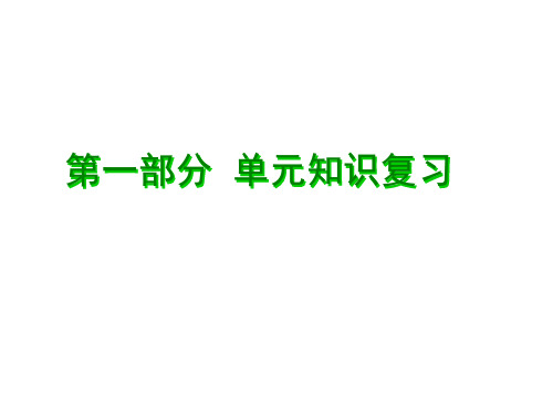 广东省中考数学专题总复习ppt课件：图形的对称、平移、旋转和位似