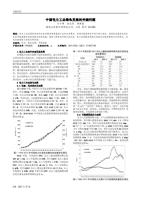 中国电力工业绿色发展的关键问题