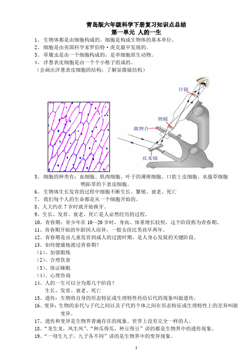 青岛版六年级下册科学(全册)知识点总结及试题