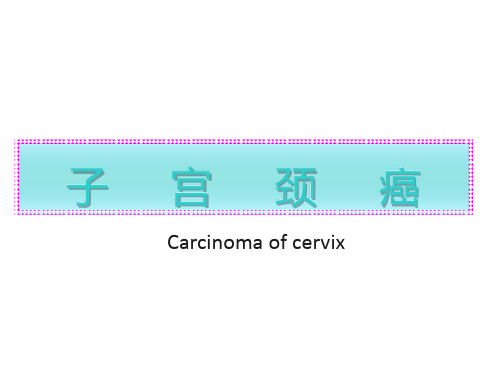 宫颈癌—医学讲解