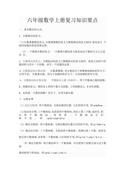 六年级数学上册复习知识要点