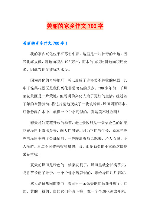 美丽的家乡作文700字