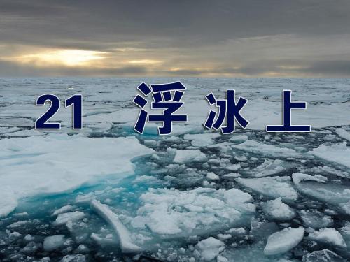 浮冰上教学课件(省一等奖)