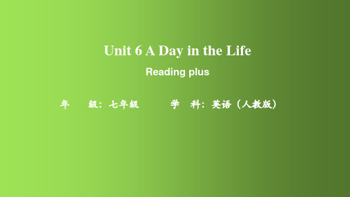 人教版(2024年)英语七年级上册+Unit+6++Reading+Plus+课件