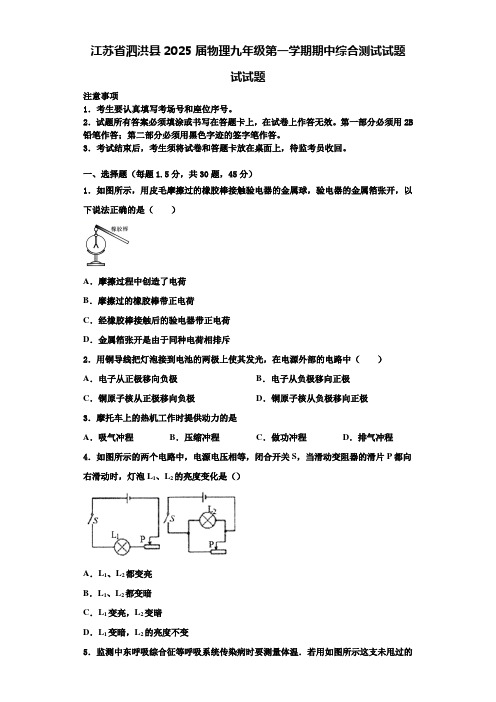 江苏省泗洪县2025届物理九年级第一学期期中综合测试试题含解析