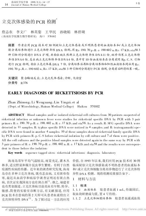 立克次体感染的PCR检测