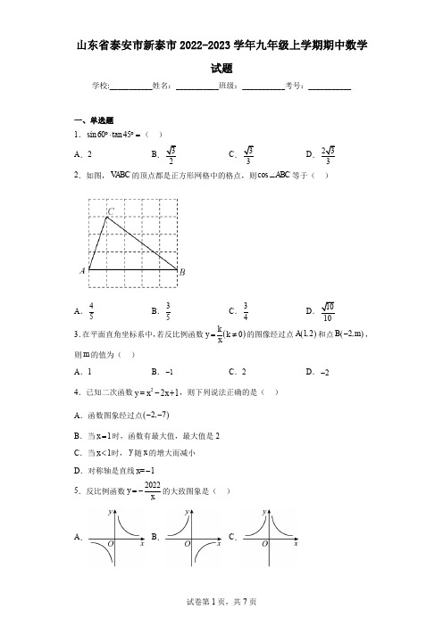 山东省泰安市新泰市2022-2023学年九年级上学期期中数学试题