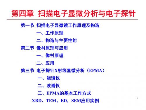 培训资料电镜ppt课件